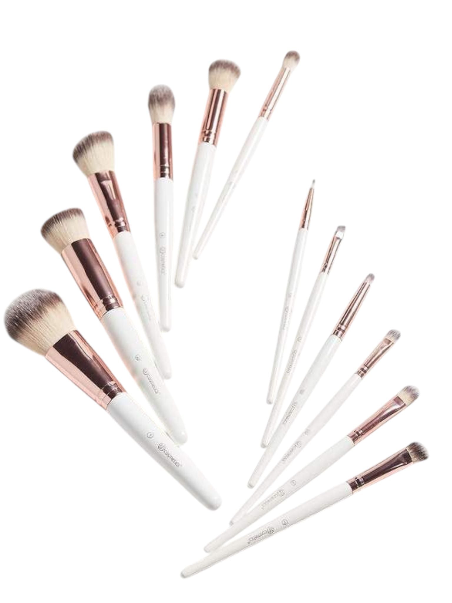 SET DE BROCHAS