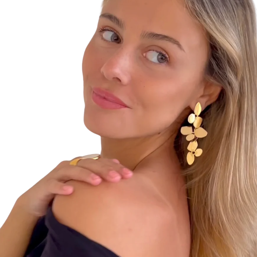 AROS BRIANA
